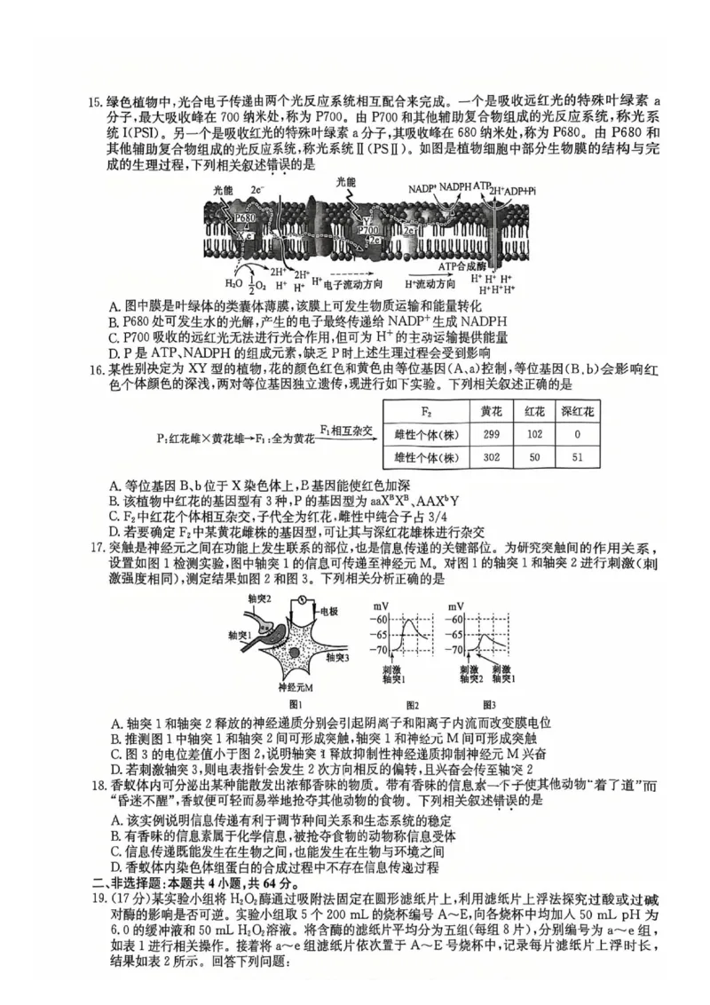 湖北省黄冈市2025届高三下学期核心预测卷生物_2025年2月_2502282025届高三下学期核心预测卷（全科）