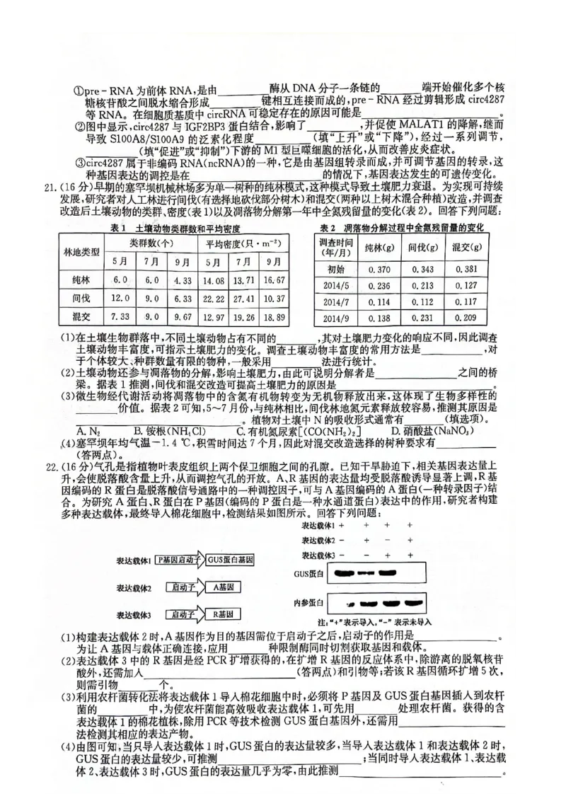 湖北省黄冈市2025届高三下学期核心预测卷生物_2025年2月_2502282025届高三下学期核心预测卷（全科）
