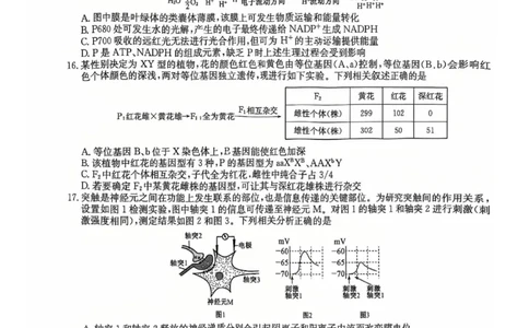 湖北省黄冈市2025届高三下学期核心预测卷生物_2025年2月_2502282025届高三下学期核心预测卷（全科）