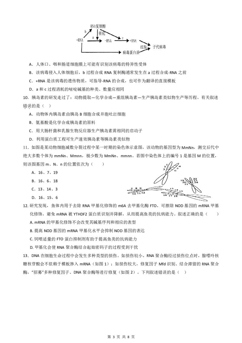 绵阳南山中学实验学校高2023级高三（上）10月月考+生物_2025年10月_12026年试卷教辅资源等多个文件_251018绵阳南山中学实验学校高2023级高三（上）10月月考（全科)