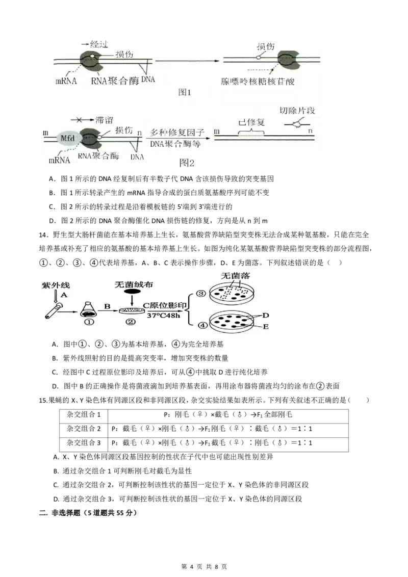 绵阳南山中学实验学校高2023级高三（上）10月月考+生物_2025年10月_12026年试卷教辅资源等多个文件_251018绵阳南山中学实验学校高2023级高三（上）10月月考（全科)