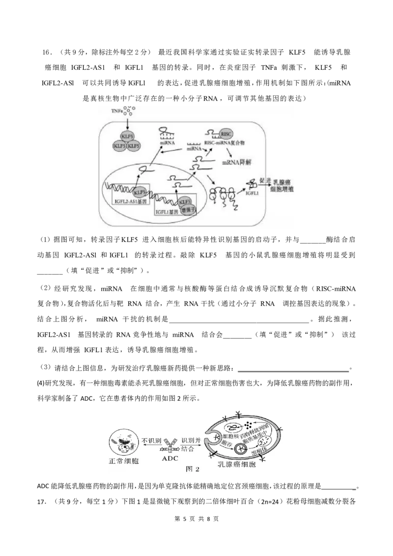 绵阳南山中学实验学校高2023级高三（上）10月月考+生物_2025年10月_12026年试卷教辅资源等多个文件_251018绵阳南山中学实验学校高2023级高三（上）10月月考（全科)
