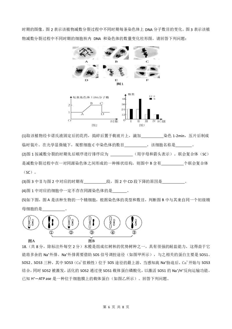 绵阳南山中学实验学校高2023级高三（上）10月月考+生物_2025年10月_12026年试卷教辅资源等多个文件_251018绵阳南山中学实验学校高2023级高三（上）10月月考（全科)