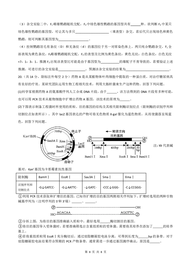 绵阳南山中学实验学校高2023级高三（上）10月月考+生物_2025年10月_12026年试卷教辅资源等多个文件_251018绵阳南山中学实验学校高2023级高三（上）10月月考（全科)