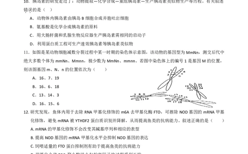 绵阳南山中学实验学校高2023级高三（上）10月月考+生物_2025年10月_12026年试卷教辅资源等多个文件_251018绵阳南山中学实验学校高2023级高三（上）10月月考（全科)