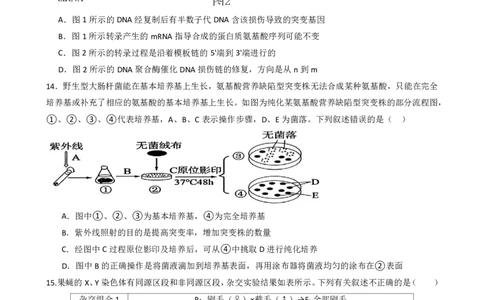 绵阳南山中学实验学校高2023级高三（上）10月月考+生物_2025年10月_12026年试卷教辅资源等多个文件_251018绵阳南山中学实验学校高2023级高三（上）10月月考（全科)
