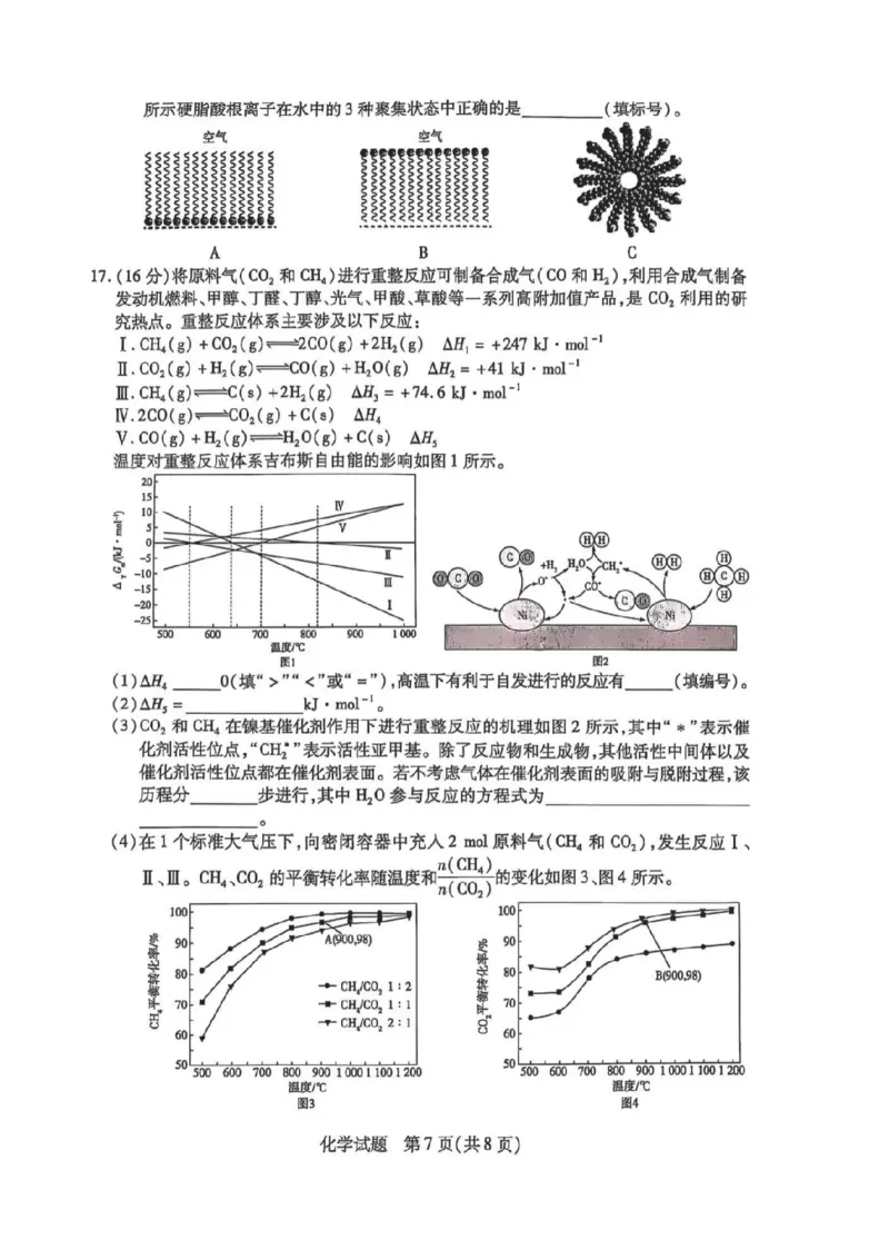 天一大联考25届高三化学最后一卷_2025年5月_2505262025届安徽省天一大联考高三下学期最后一卷（全科）_2025届安徽省天一大联考高三下学期最后一卷化学