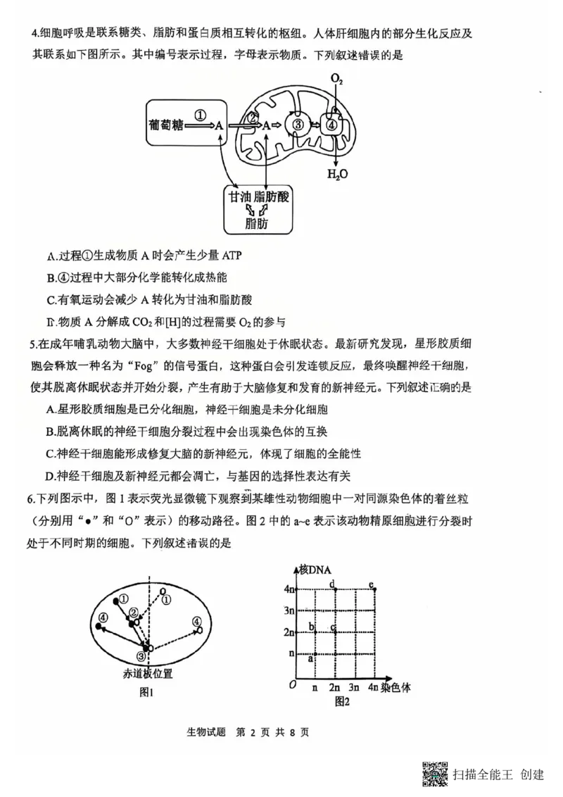 陕西省渭南市2025届高三上学期教学质量检测（Ⅰ）生物+答案_2025年1月_250118陕西省渭南市2025届高三上学期教学质量检测（Ⅰ）
