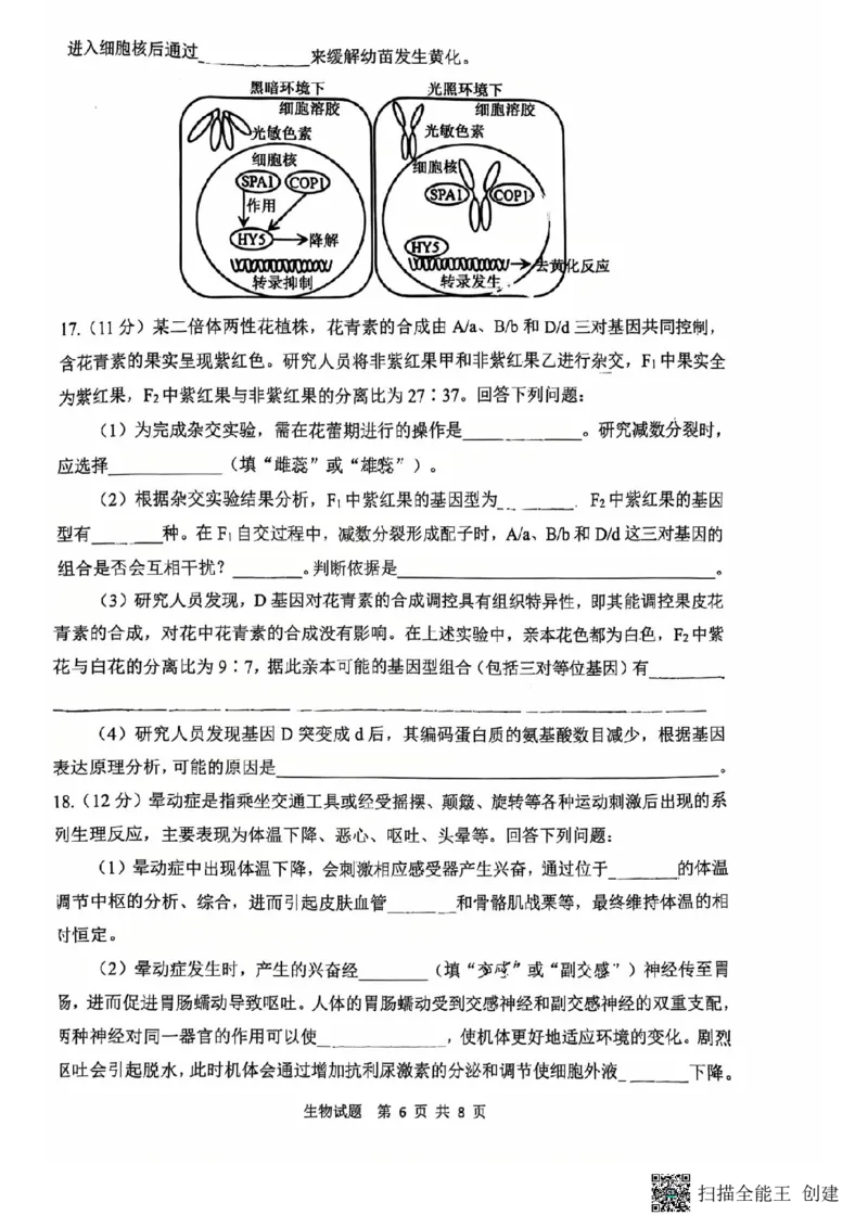 陕西省渭南市2025届高三上学期教学质量检测（Ⅰ）生物+答案_2025年1月_250118陕西省渭南市2025届高三上学期教学质量检测（Ⅰ）