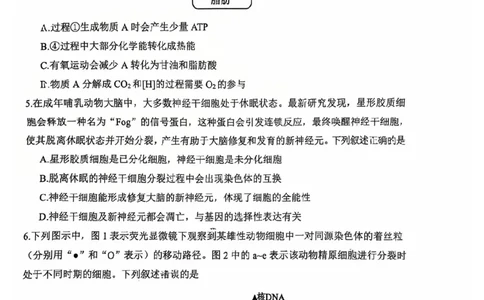 陕西省渭南市2025届高三上学期教学质量检测（Ⅰ）生物+答案_2025年1月_250118陕西省渭南市2025届高三上学期教学质量检测（Ⅰ）