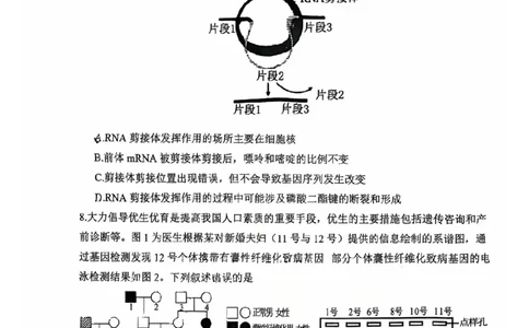 陕西省渭南市2025届高三上学期教学质量检测（Ⅰ）生物+答案_2025年1月_250118陕西省渭南市2025届高三上学期教学质量检测（Ⅰ）