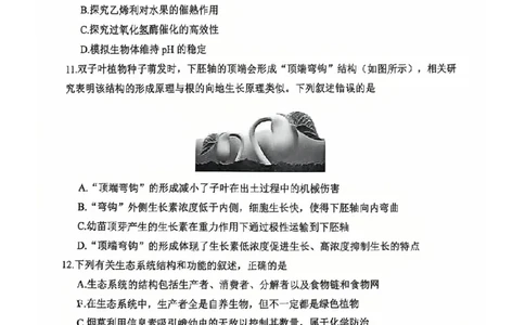 陕西省渭南市2025届高三上学期教学质量检测（Ⅰ）生物+答案_2025年1月_250118陕西省渭南市2025届高三上学期教学质量检测（Ⅰ）