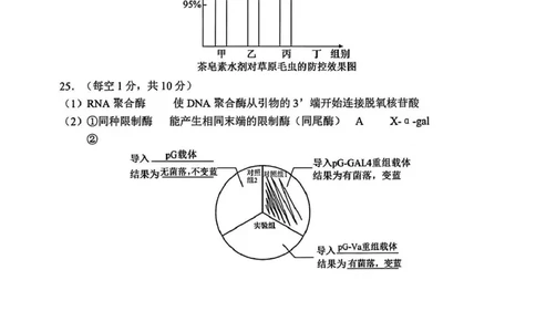 答案_2025年5月_250516吉林省长春市东北师范大学附属中学高三下学期第四次模拟考试（全科）_吉林省长春市东北师范大学附属中学2024-2025学年高三下学期第四次模拟考试生物