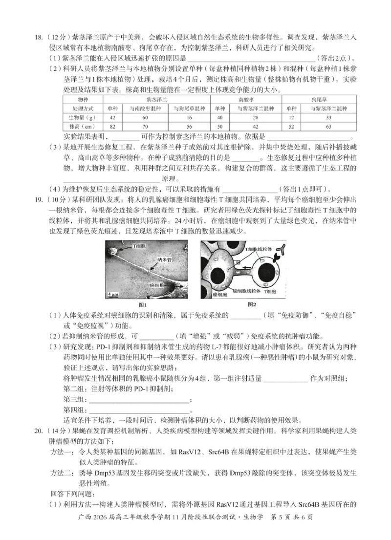 广西邕衡2025年11月高三联考生物邕衡2025年11月高三联考生物试卷_2025年11月_251126广西邕衡教育&middot;名校联盟广西2026届高三年级秋季学期11月份阶段性联合测试（全科）
