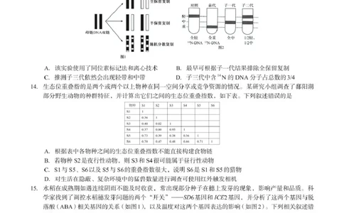 广西邕衡2025年11月高三联考生物邕衡2025年11月高三联考生物试卷_2025年11月_251126广西邕衡教育&middot;名校联盟广西2026届高三年级秋季学期11月份阶段性联合测试（全科）