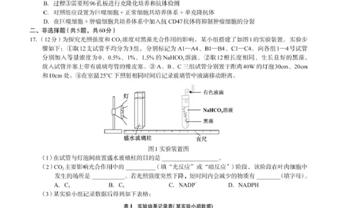 广西邕衡2025年11月高三联考生物邕衡2025年11月高三联考生物试卷_2025年11月_251126广西邕衡教育&middot;名校联盟广西2026届高三年级秋季学期11月份阶段性联合测试（全科）