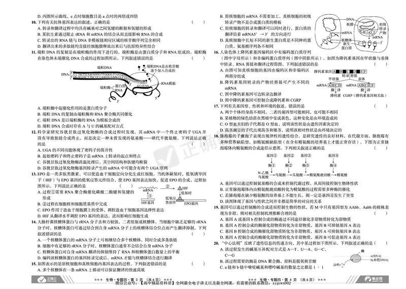 全国卷《正确小卷》2024总复习生物质检卷_2024高考押题卷_72024正确教育全系列_2024年正确小卷全系列_（全国版）2024《正确小卷&middot;复习质检卷》（九科全）各两套
