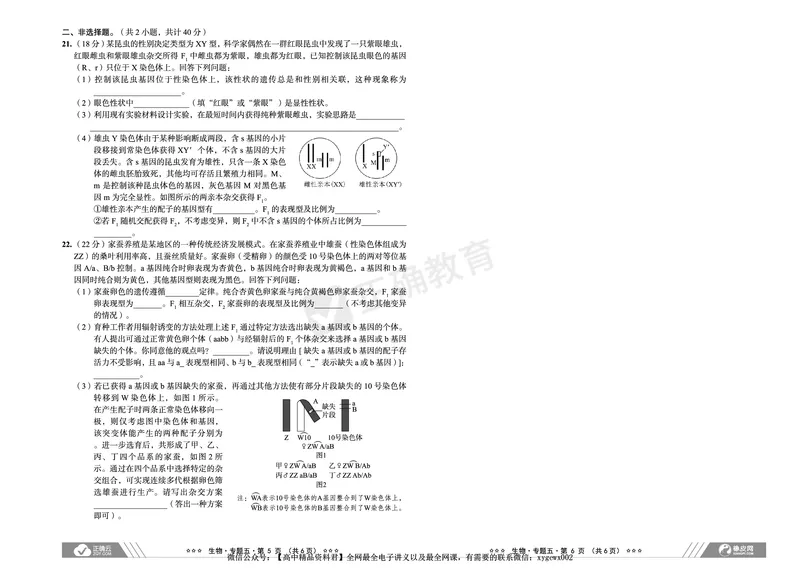 全国卷《正确小卷》2024总复习生物质检卷_2024高考押题卷_72024正确教育全系列_2024年正确小卷全系列_（全国版）2024《正确小卷&middot;复习质检卷》（九科全）各两套