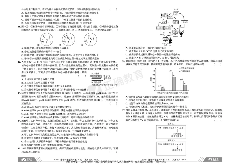 全国卷《正确小卷》2024总复习生物质检卷_2024高考押题卷_72024正确教育全系列_2024年正确小卷全系列_（全国版）2024《正确小卷&middot;复习质检卷》（九科全）各两套