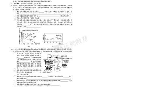 全国卷《正确小卷》2024总复习生物质检卷_2024高考押题卷_72024正确教育全系列_2024年正确小卷全系列_（全国版）2024《正确小卷&middot;复习质检卷》（九科全）各两套