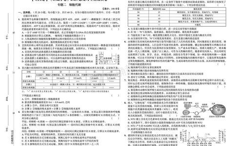 全国卷《正确小卷》2024总复习生物质检卷_2024高考押题卷_72024正确教育全系列_2024年正确小卷全系列_（全国版）2024《正确小卷&middot;复习质检卷》（九科全）各两套