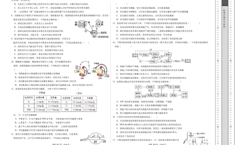 高二生物期中模拟卷01测试范围：人教版2019选必1全册（考试版A3）（新高考专用）(1)_1多考区联考_1014高二期中模拟卷（新高考通用）黄金卷：2024-2025学年高二上学期期中模拟考试
