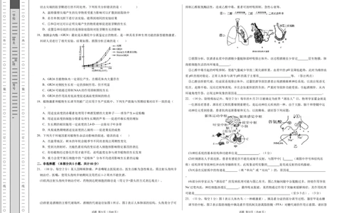 高二生物期中模拟卷01测试范围：人教版2019选必1全册（考试版A3）（新高考专用）(1)_1多考区联考_1014高二期中模拟卷（新高考通用）黄金卷：2024-2025学年高二上学期期中模拟考试
