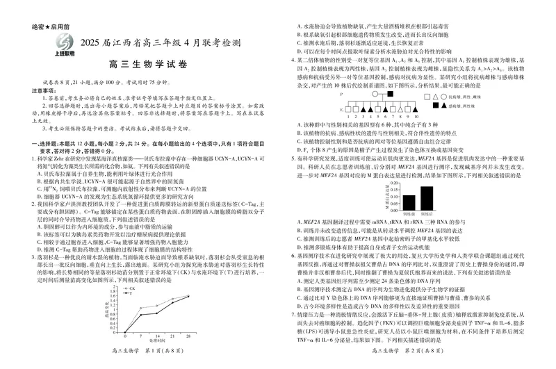 生物2025届江西省上进联考高三年级４月联考检测_2025年5月_05022025届江西省上进联考高三年级４月联考检测（全科）