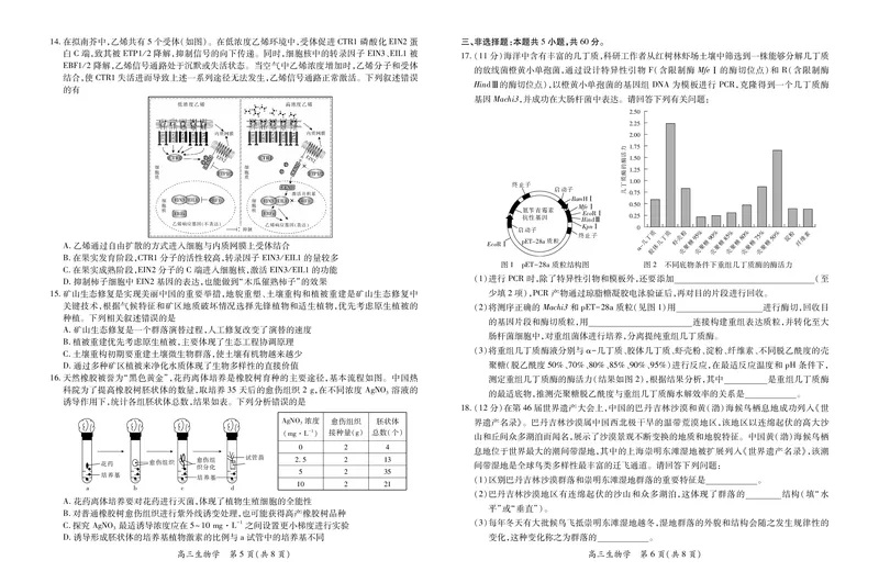生物2025届江西省上进联考高三年级４月联考检测_2025年5月_05022025届江西省上进联考高三年级４月联考检测（全科）