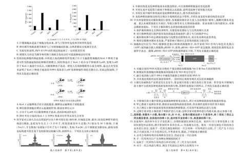 生物2025届江西省上进联考高三年级４月联考检测_2025年5月_05022025届江西省上进联考高三年级４月联考检测（全科）