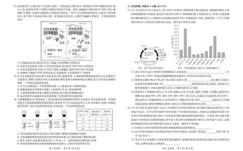 生物2025届江西省上进联考高三年级４月联考检测_2025年5月_05022025届江西省上进联考高三年级４月联考检测（全科）