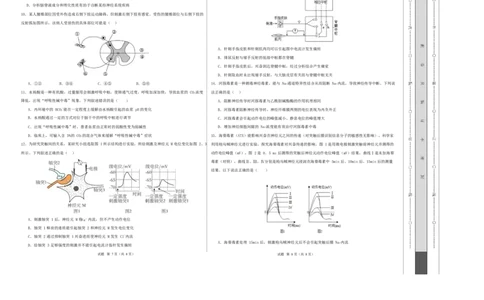 高二生物第一次月考卷不定项版测试范围：人教版2019选择性必修1第1章~第2章（考试版A3）_1多考区联考试卷_2510142025-2026学年高二生物上学期第一次月考试题