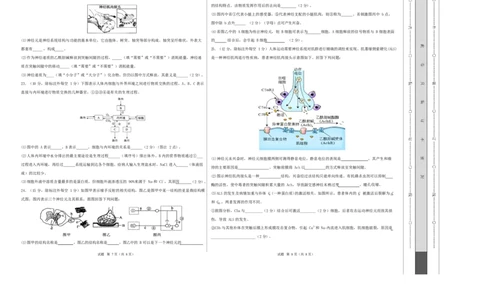 高二生物第一次月考卷不定项版测试范围：人教版2019选择性必修1第1章~第2章（考试版A3）_1多考区联考试卷_2510142025-2026学年高二生物上学期第一次月考试题