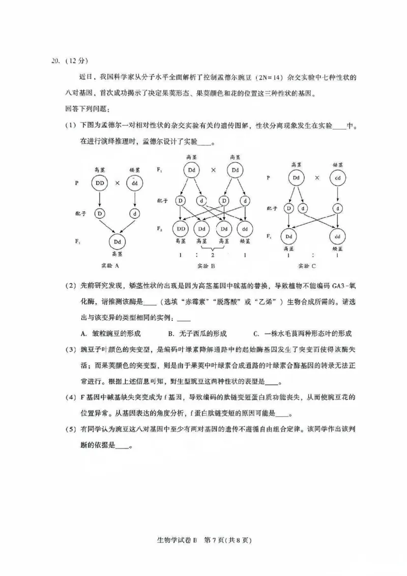广东省广州市2025-2026学年高三上学期8月阶段训练生物试卷_2025年8月_2508222026届广州高三8月市调研考（全科）