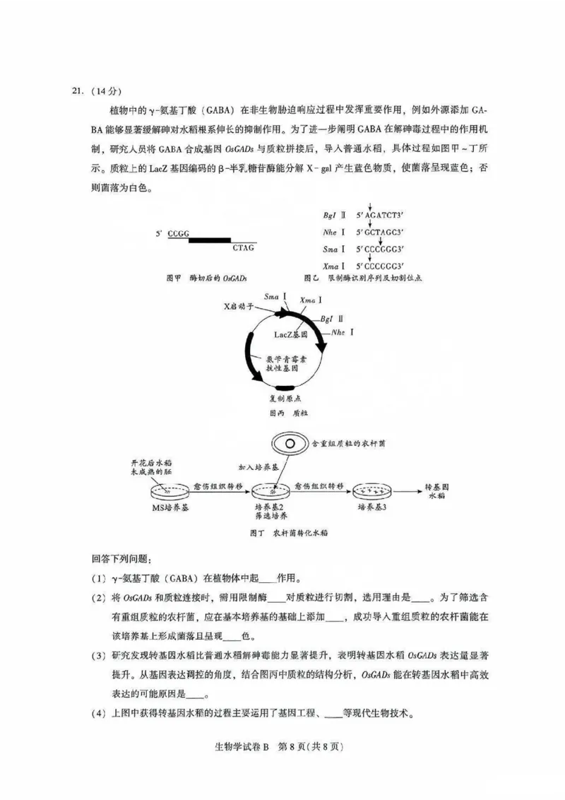 广东省广州市2025-2026学年高三上学期8月阶段训练生物试卷_2025年8月_2508222026届广州高三8月市调研考（全科）