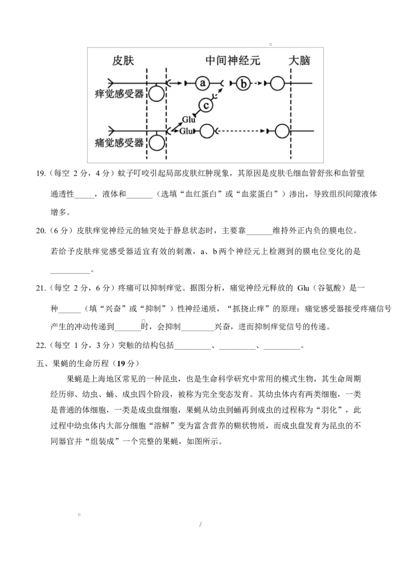 高二生物上学期第一次月考（上海专用）（考试版）_1多考区联考试卷_2510142025-2026学年高二生物上学期第一次月考试题