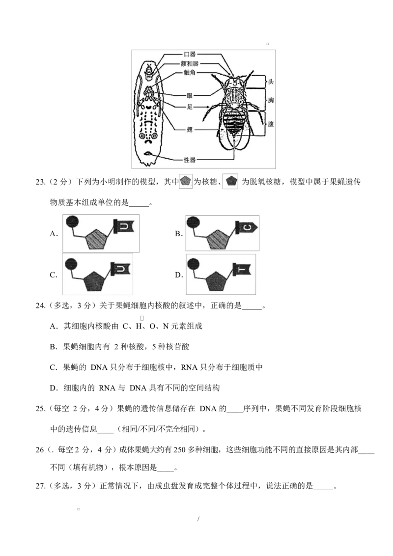 高二生物上学期第一次月考（上海专用）（考试版）_1多考区联考试卷_2510142025-2026学年高二生物上学期第一次月考试题