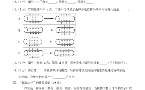 高二生物上学期第一次月考（上海专用）（考试版）_1多考区联考试卷_2510142025-2026学年高二生物上学期第一次月考试题