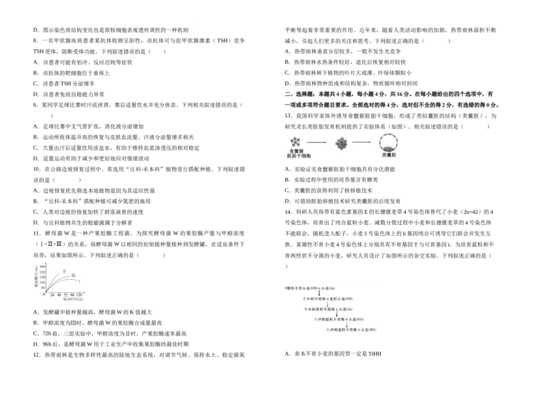 湖南省衡阳市衡阳县第四中学2024-2025学年高三上学期1月期末生物试题（含答案）_2025年1月_250115湖南省衡阳市衡阳县第四中学2024-2025学年高三上学期1月期末试题（全科）