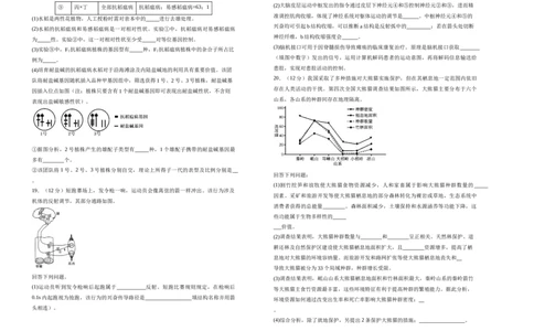 湖南省衡阳市衡阳县第四中学2024-2025学年高三上学期1月期末生物试题（含答案）_2025年1月_250115湖南省衡阳市衡阳县第四中学2024-2025学年高三上学期1月期末试题（全科）