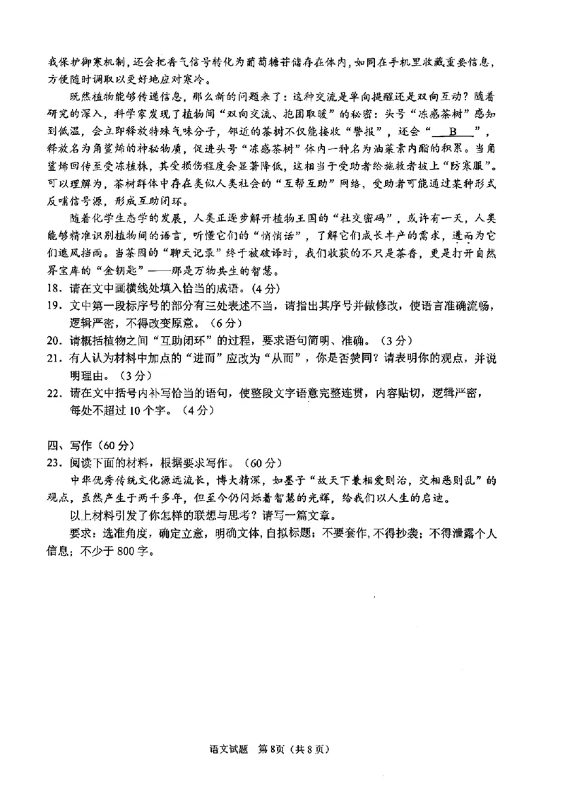 山东省九五高中协作体2025高三年级质量检测（九五联考）语文_2025年5月_250515山东省九五高中协作体2025高三年级质量检测（东营二模）（全科）