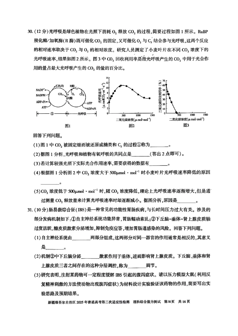 新疆维吾尔自治区2025年普通高考第二次适应性检测理综_2025年3月_250308新疆维吾尔自治区2025年普通高考第二次适应性检测（全科）