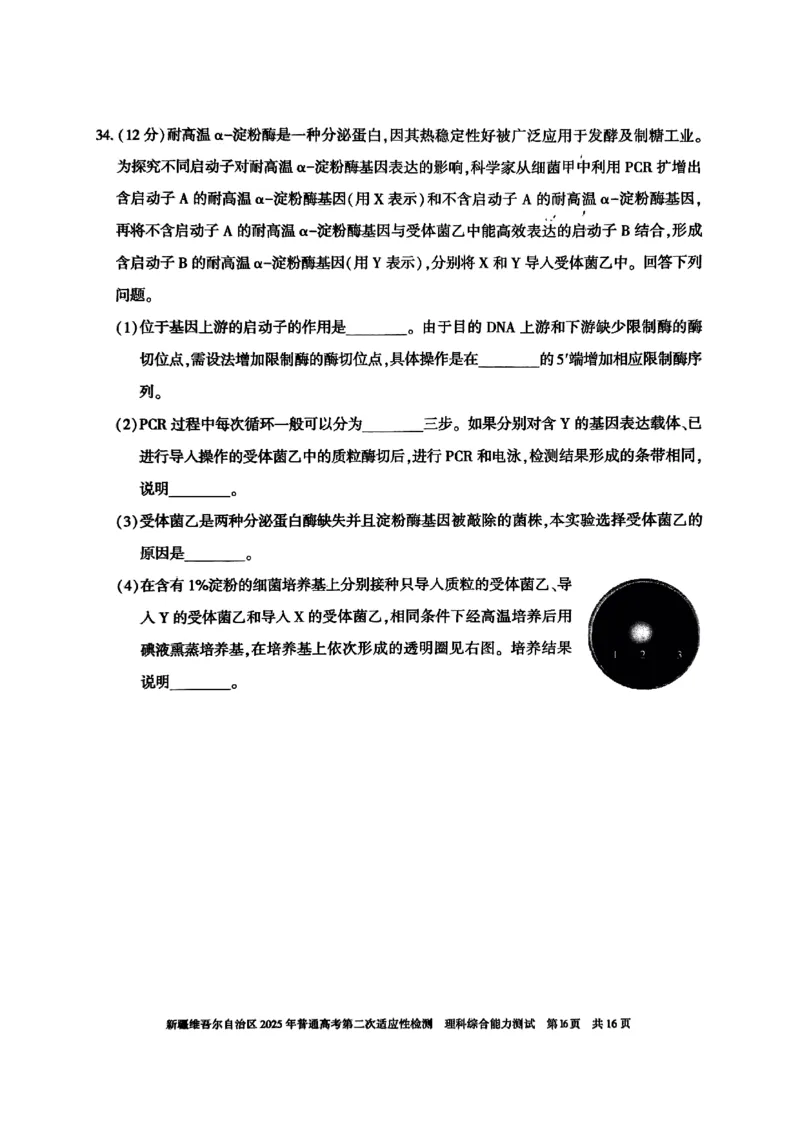 新疆维吾尔自治区2025年普通高考第二次适应性检测理综_2025年3月_250308新疆维吾尔自治区2025年普通高考第二次适应性检测（全科）