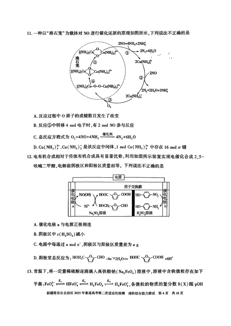 新疆维吾尔自治区2025年普通高考第二次适应性检测理综_2025年3月_250308新疆维吾尔自治区2025年普通高考第二次适应性检测（全科）