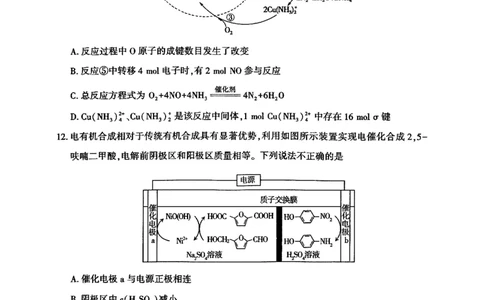 新疆维吾尔自治区2025年普通高考第二次适应性检测理综_2025年3月_250308新疆维吾尔自治区2025年普通高考第二次适应性检测（全科）