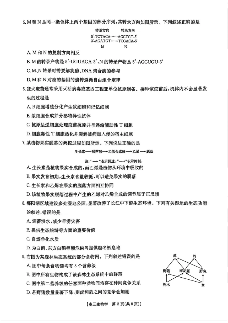 江西省金太阳2026届高三上学期9月开学联考（26-13C）生物+答案_2025年9月_250909江西省金太阳2026届高三上学期9月开学联考（26-13C）（全科）