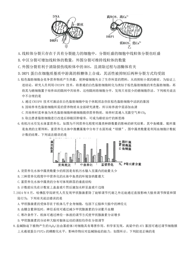 重庆市沙坪坝区重庆市第一中学校2024-2025学年高三下学期3月月考生物试题_2025年3月_250318重庆市第一中学校2024-2025学年高三下学期3月月考
