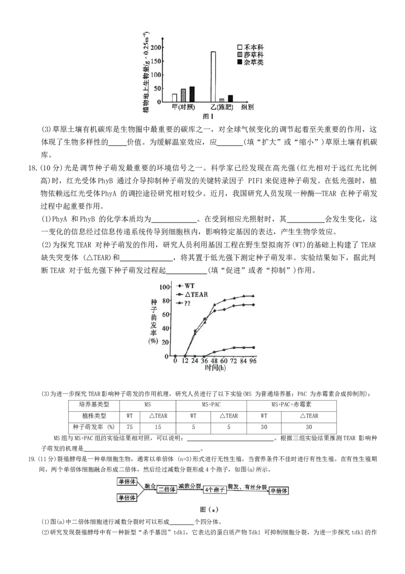 重庆市沙坪坝区重庆市第一中学校2024-2025学年高三下学期3月月考生物试题_2025年3月_250318重庆市第一中学校2024-2025学年高三下学期3月月考