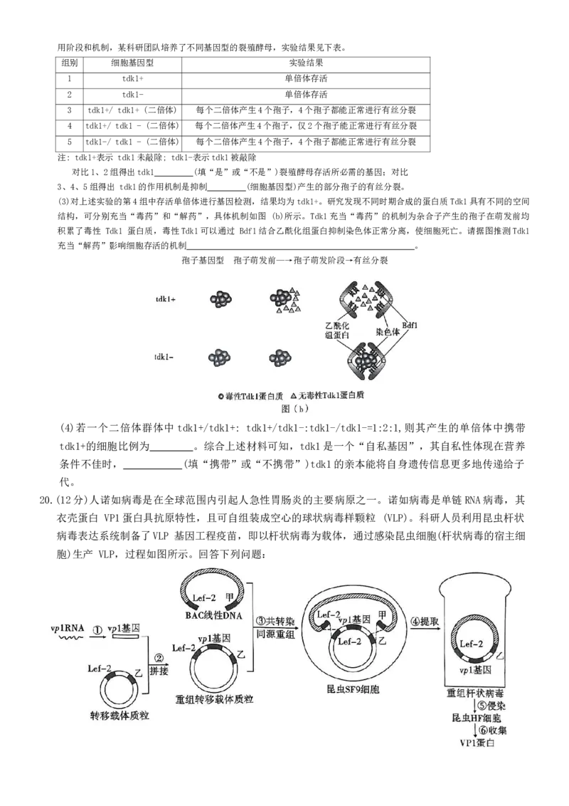 重庆市沙坪坝区重庆市第一中学校2024-2025学年高三下学期3月月考生物试题_2025年3月_250318重庆市第一中学校2024-2025学年高三下学期3月月考