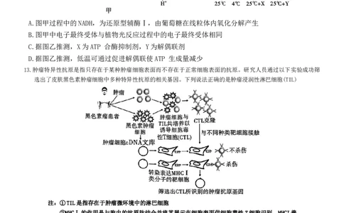 重庆市沙坪坝区重庆市第一中学校2024-2025学年高三下学期3月月考生物试题_2025年3月_250318重庆市第一中学校2024-2025学年高三下学期3月月考